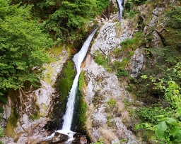 20180714 193103 (2692 gweladenn) 20180714 193103