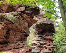 20180722 143036 2 (2089 gweladenn) 20180722 143036 2