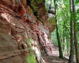 20190825 141842~2 (2920 gweladenn) 20190825 141842~2