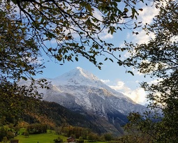 20191109 161319~3 (3596 gweladenn) 20191109 161319~3