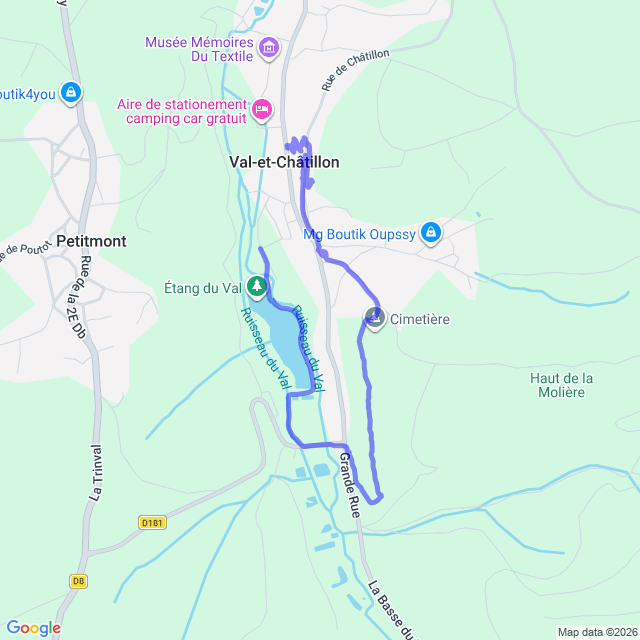 carte google