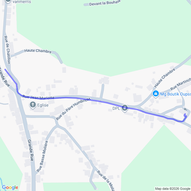carte google