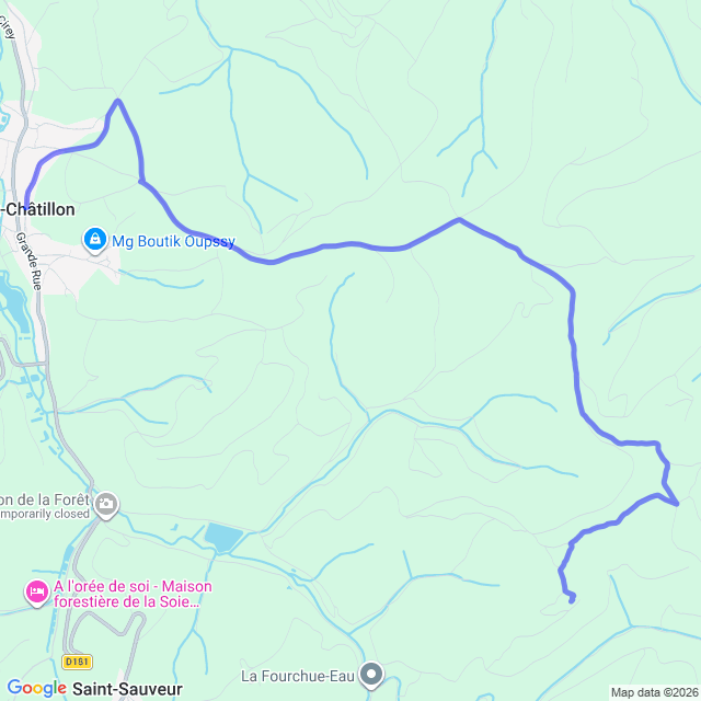 carte google