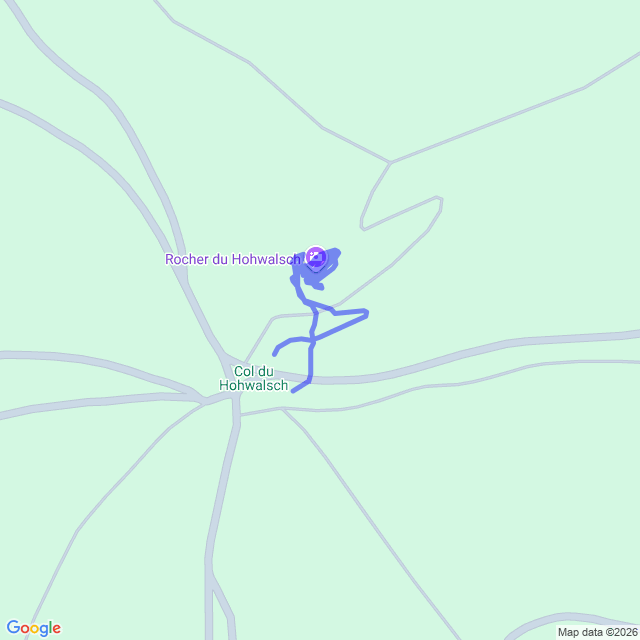 carte google