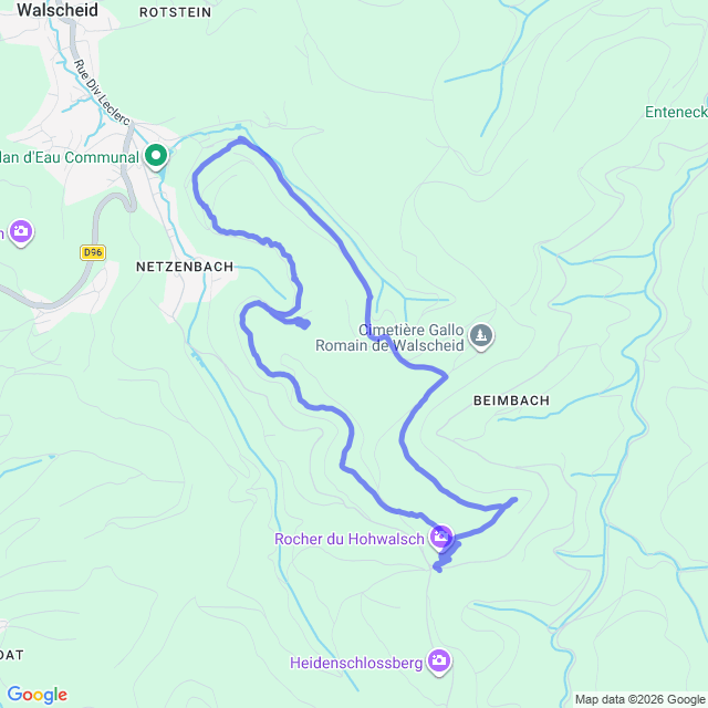carte google