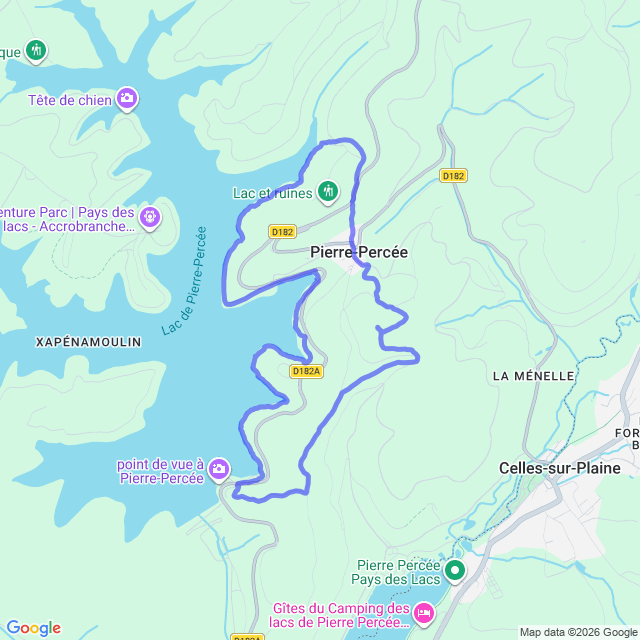 carte google