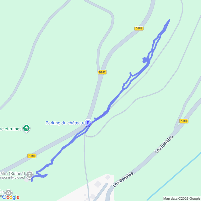 carte google
