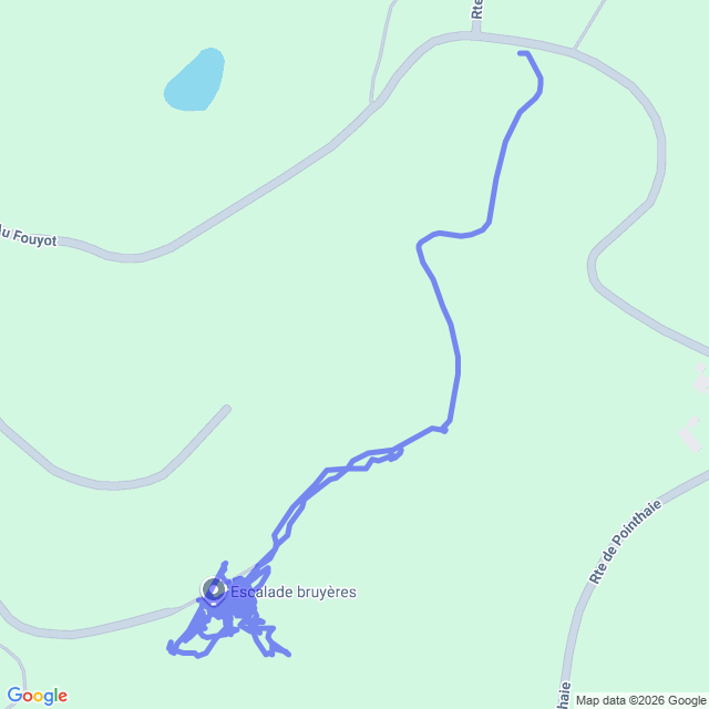 carte google