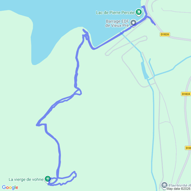 carte google