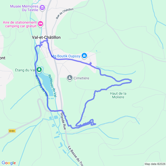 carte google