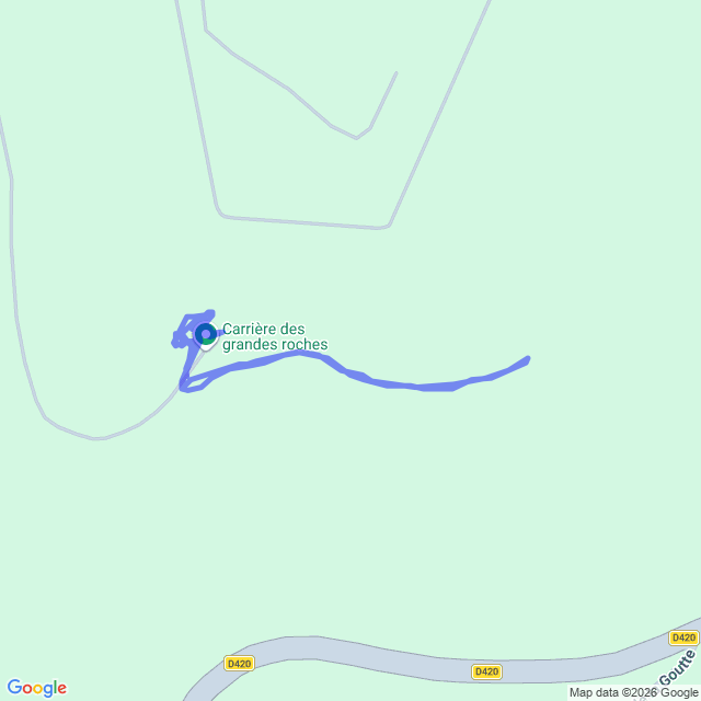 carte google