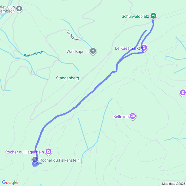 carte google