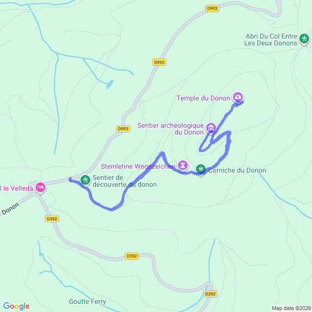 carte google