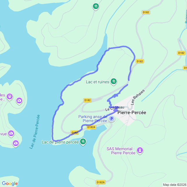 carte google