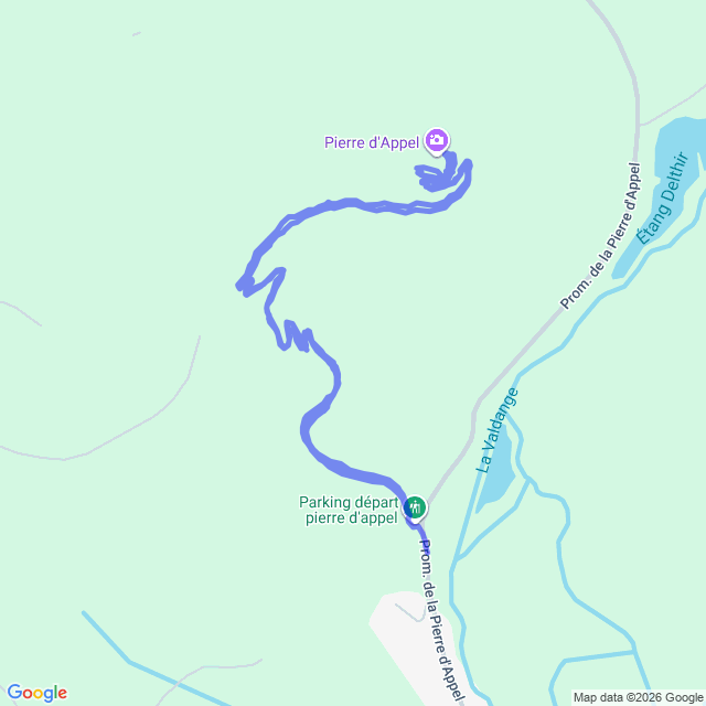 carte google