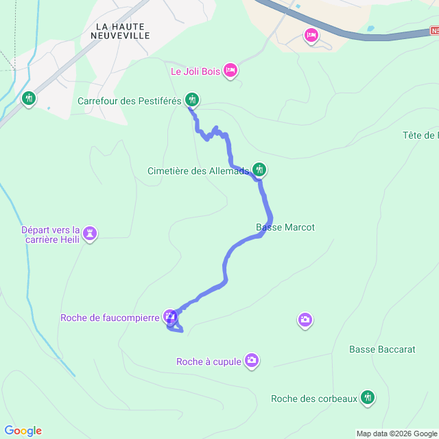 carte google