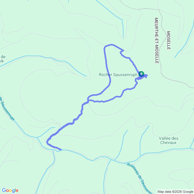 carte google
