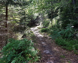 20170729_160037 (4613 visites) 20170729_160037