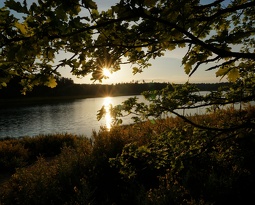 (2332 visites)